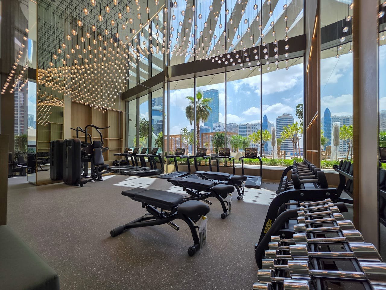 Offerings Spacious gym interior with modern equipment, mirrored walls, and large windows overlooking a city skyline.
